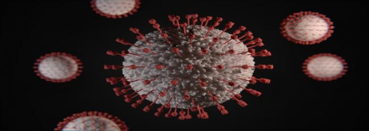 Researchers Identify Biomarkers That Accurately Detects Viral Infection Prior Development of Symptoms?