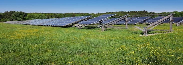 Visible solar cells do not absorb light from greenhouse crops