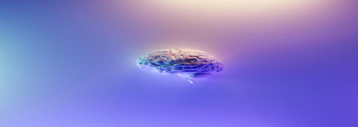 Novel Brain Implant Controls Mice’s Social Interactions