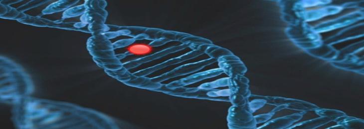 A gene sequence explains the causes of treatment resistance in breast cancer