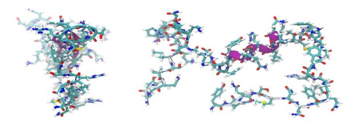 Novel Peptide May Prevent Rise of Parkinson’s Disease