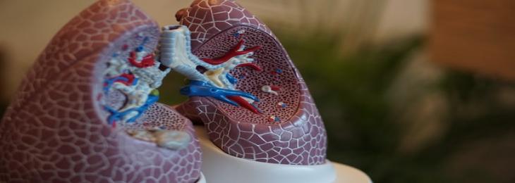 Researchers Develop New Method to Combat Lung Cancer