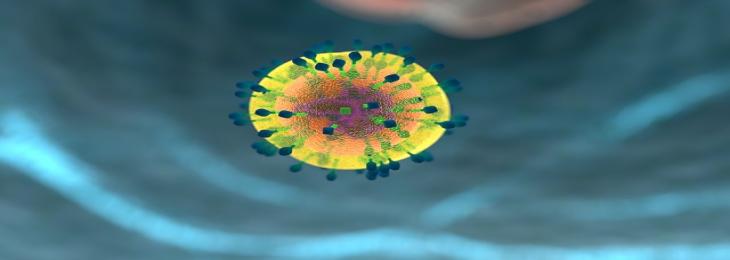 Study Reveals Potential Route To Better T- cell Therapy