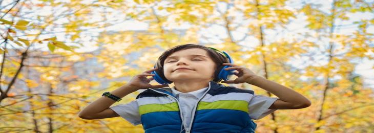 Hearing Impairment With Autism Spectrum Disorder